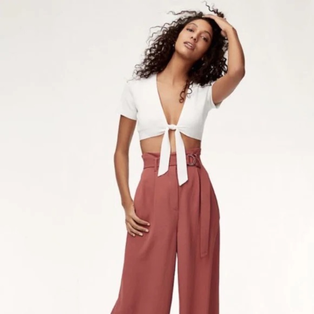 ARITZIA Wilfred Elouan Tie Front Top